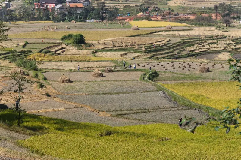 昆山工程机械行业2024年技术升级趋势与市场应用分析