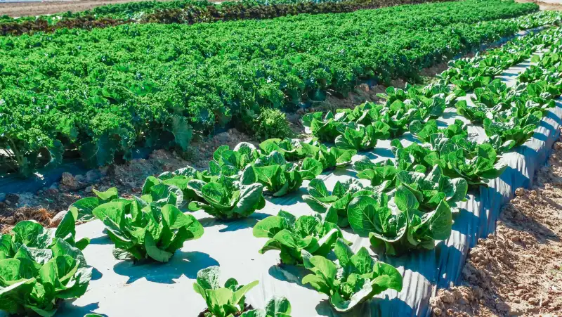 昆山工程机械市场2025年趋势观察:挖掘机需求变化与设备选型要点