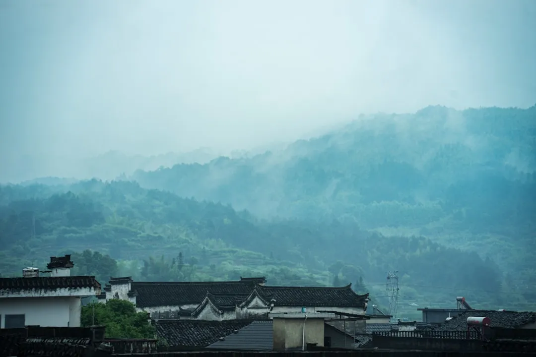 昆山挖掘机型号参数对比：优掘小松与卡特彼勒性能分析